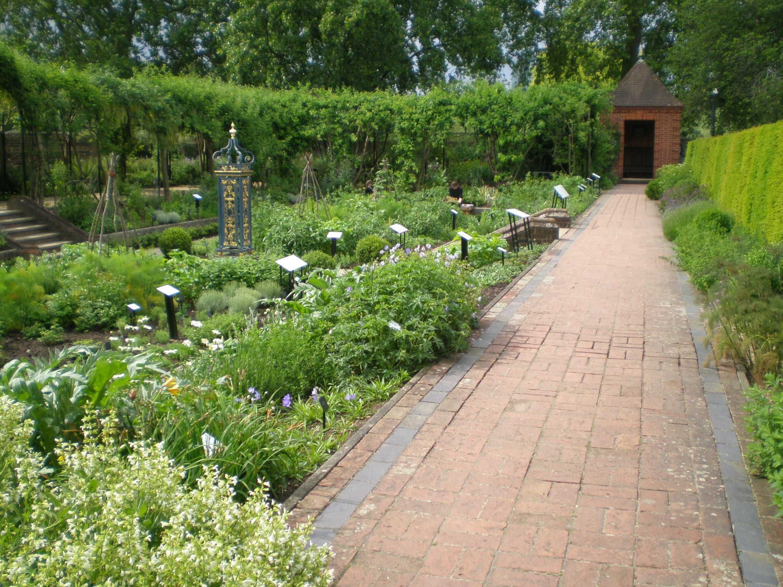 Kew garden herb borders