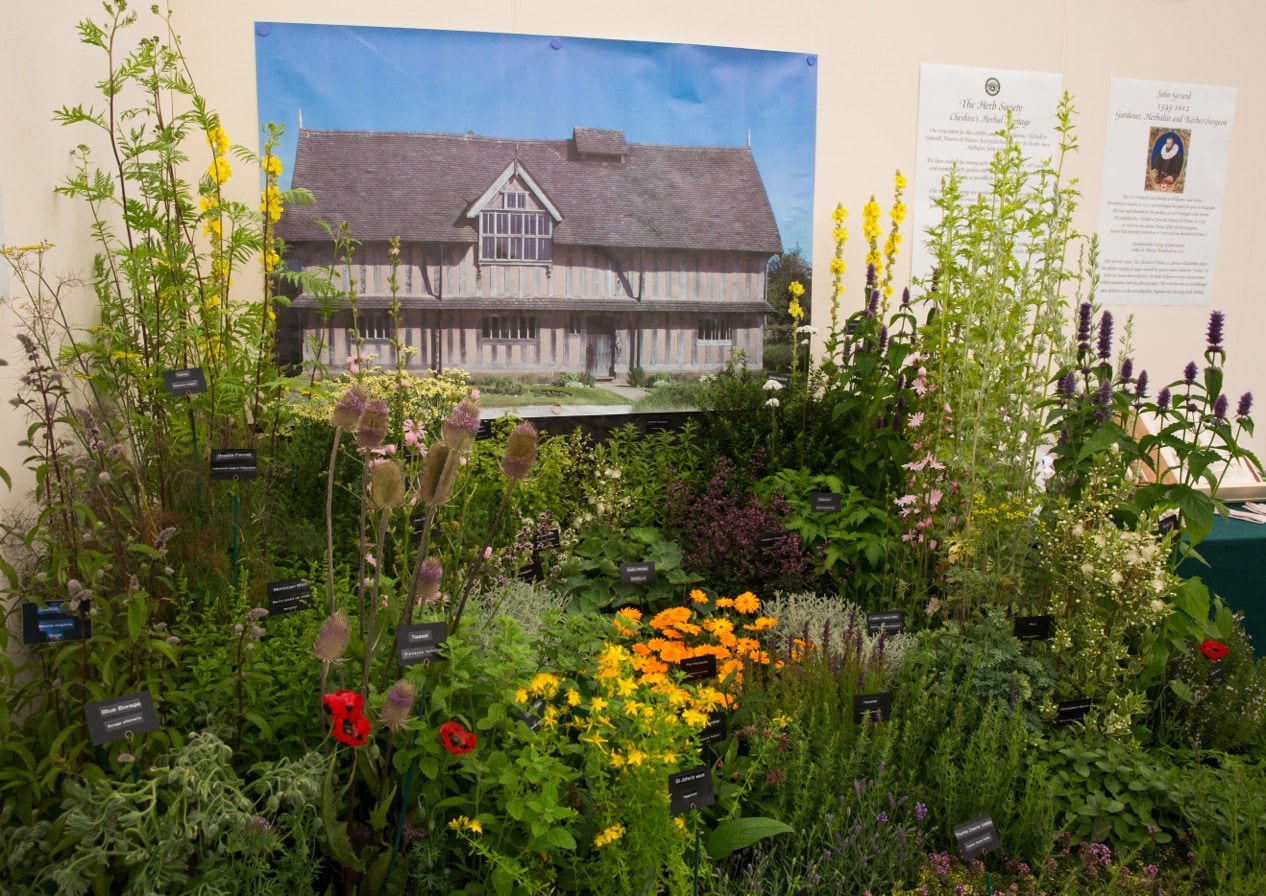 Herb society stand at RHS Tatton