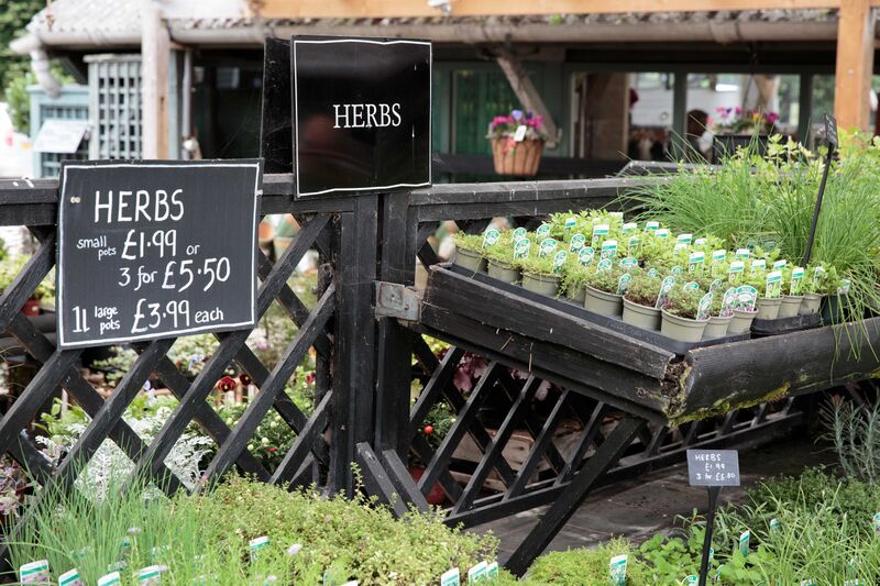 nursery herb stand