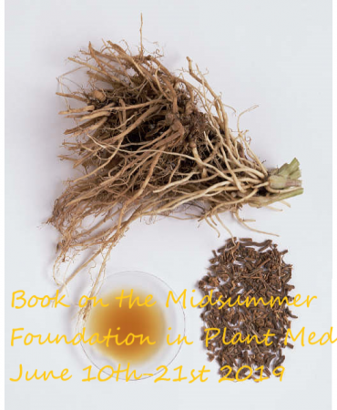 Foundation ij Plant Medicine Course