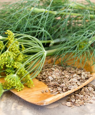 dill and seeds on a wooden spoon