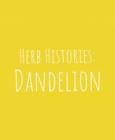 Dandelion Banner