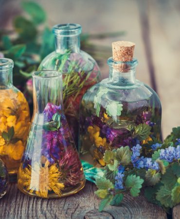 Bottles of tincture or infusion of healthy herbs, healing herbs on table. Herbal medicine.