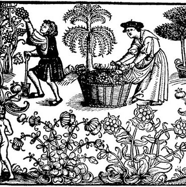 Woodcut of peasants in a herb garden - from the title page of "The Grete Herbal"