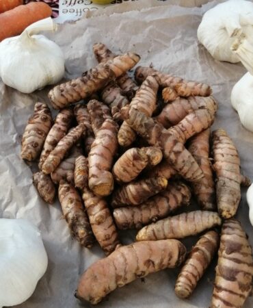 Image of turmeric, garlic and other ingredients to make a fire cider