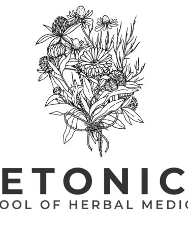 Betonica School of Herbal Medicine Logo