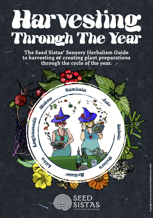 Cover of Harvesting Through the Year by The Seed Sistas featuring a illustration of the Seed Sistas surrounded by the names of the pagan festivals with herbs surrounding the circle.