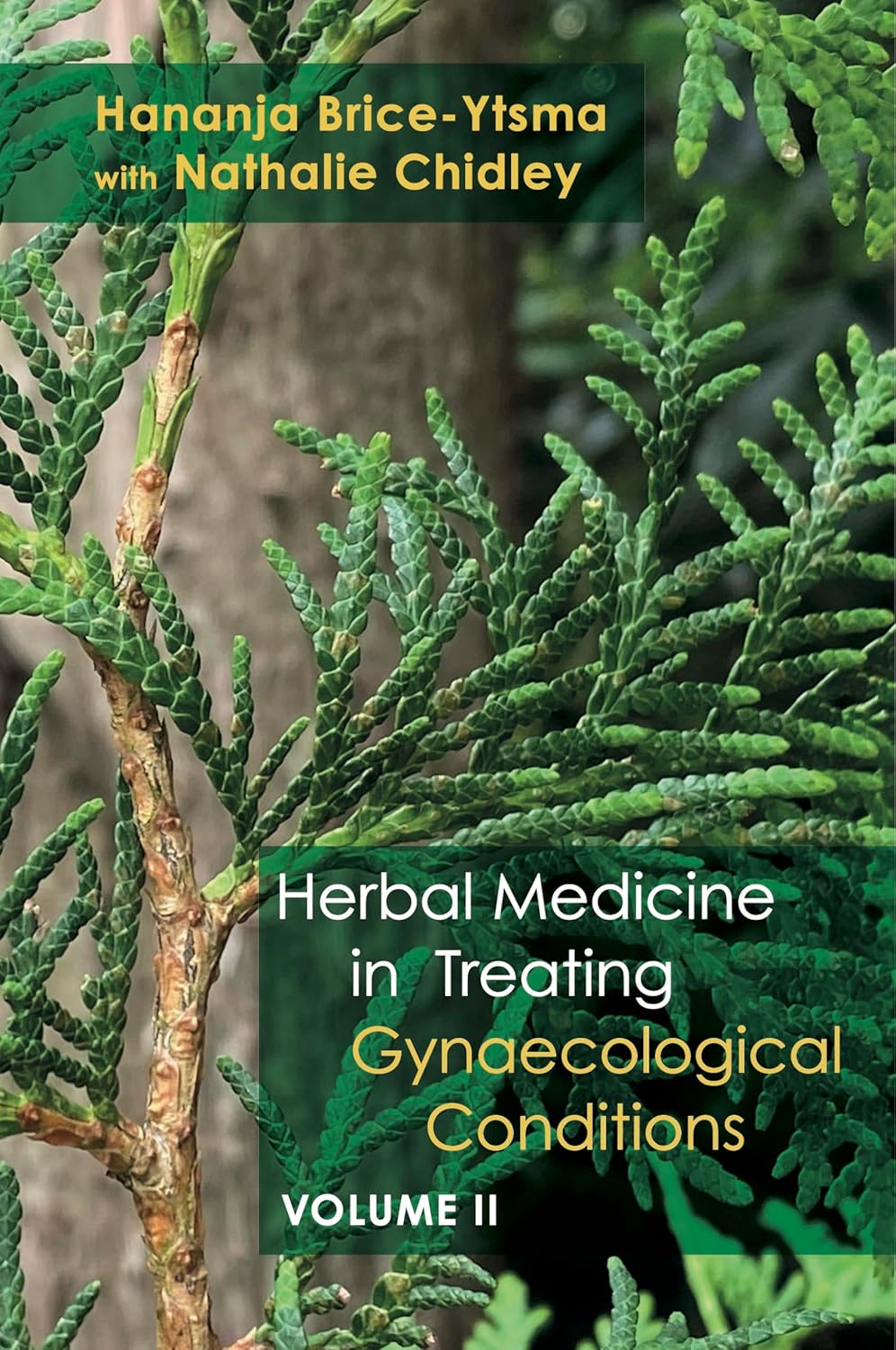 Cover of Herbal Medicine in Treating Gynaecological Conditions by Hanna Brice-Ytsma featuring a close up photo of a tree.