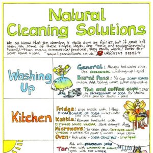 Natural Cleaning