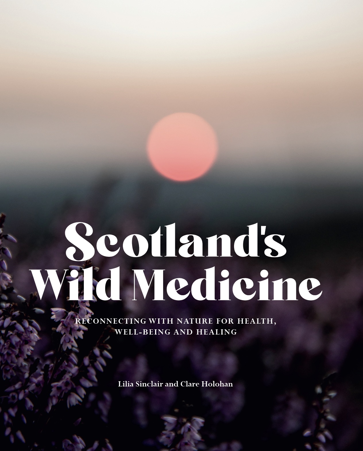 Cover of Scotland's Wild Medicine by Lilia Sinclair and Clare Holohan featuring a photo of a sunrise with plants in the foreground.