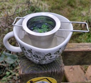 Speedwell tea