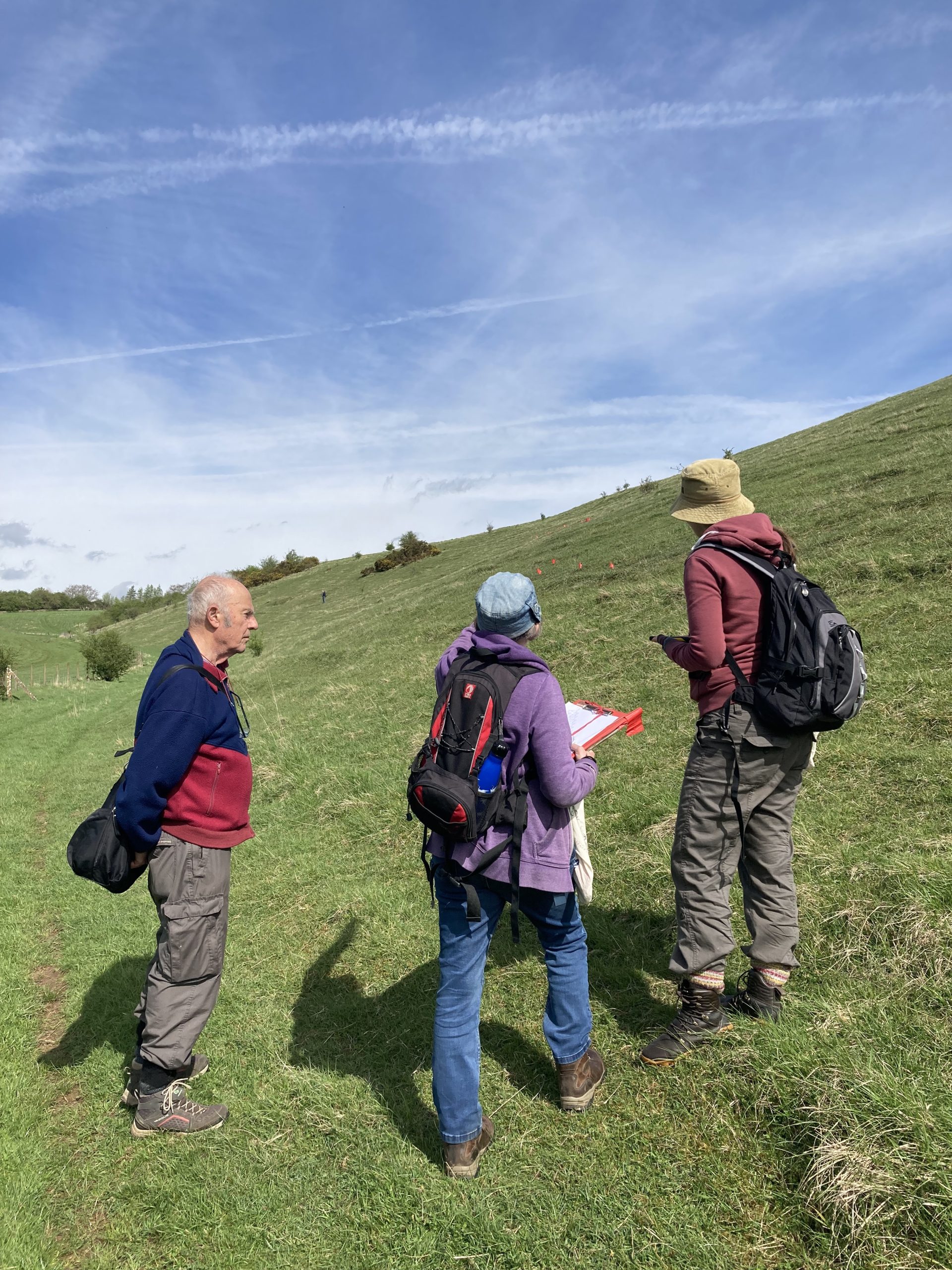The pasqueflower survey team at Barnsley Warren