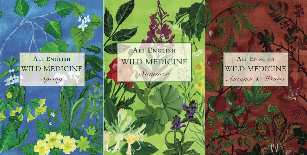 Cover of Wild Medicine: Spring, Summer, Autumn & Winter books featuring illustrations of plants.