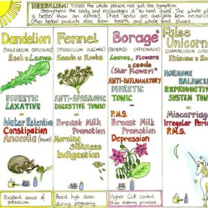 Women’s Healing Herbs
