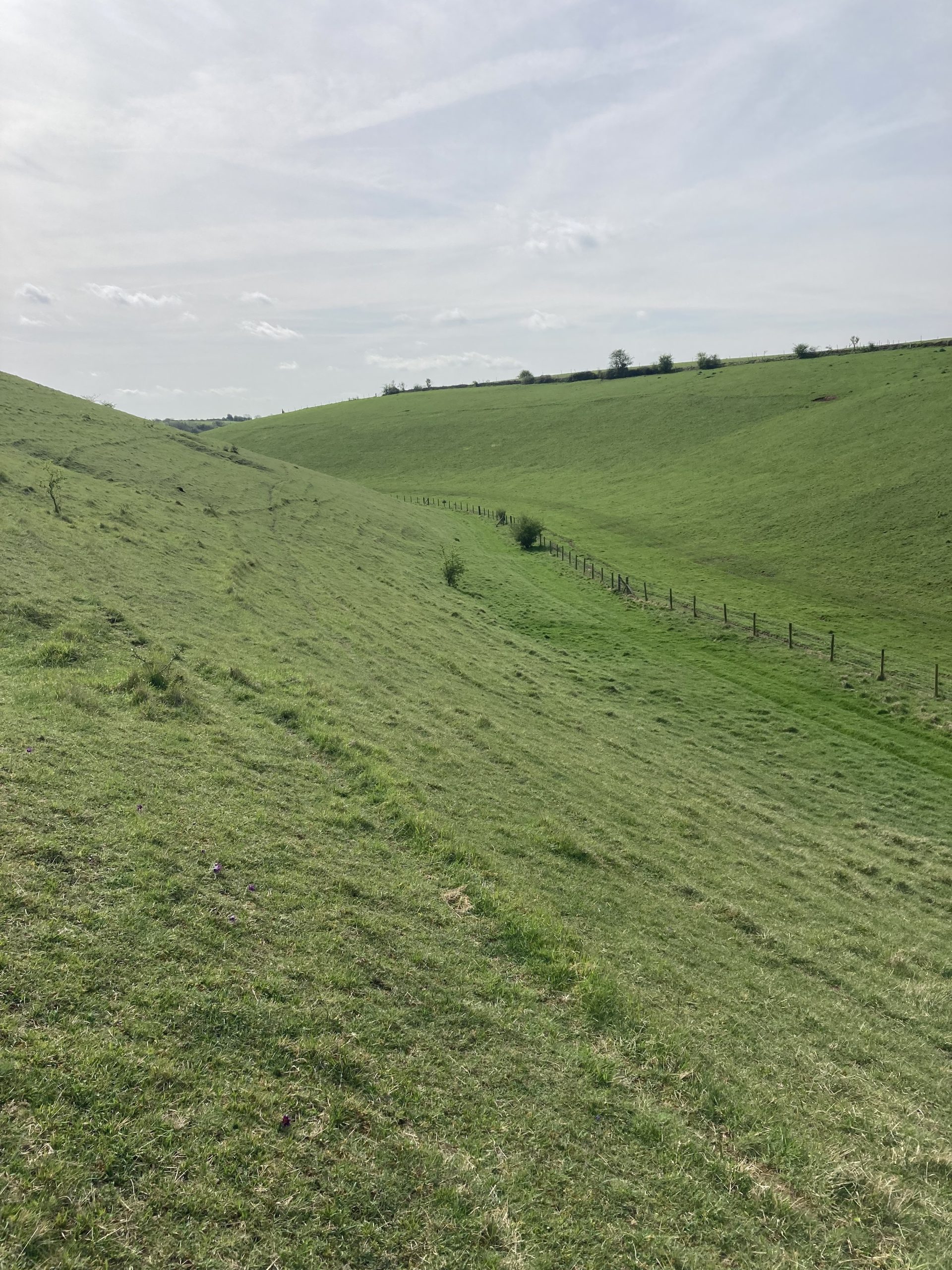 Barnsley Warren, near Cirencester