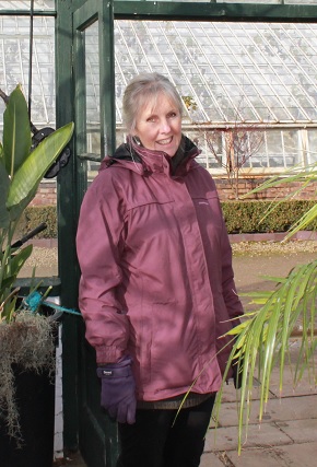 medical herbalist barbara wilkinson