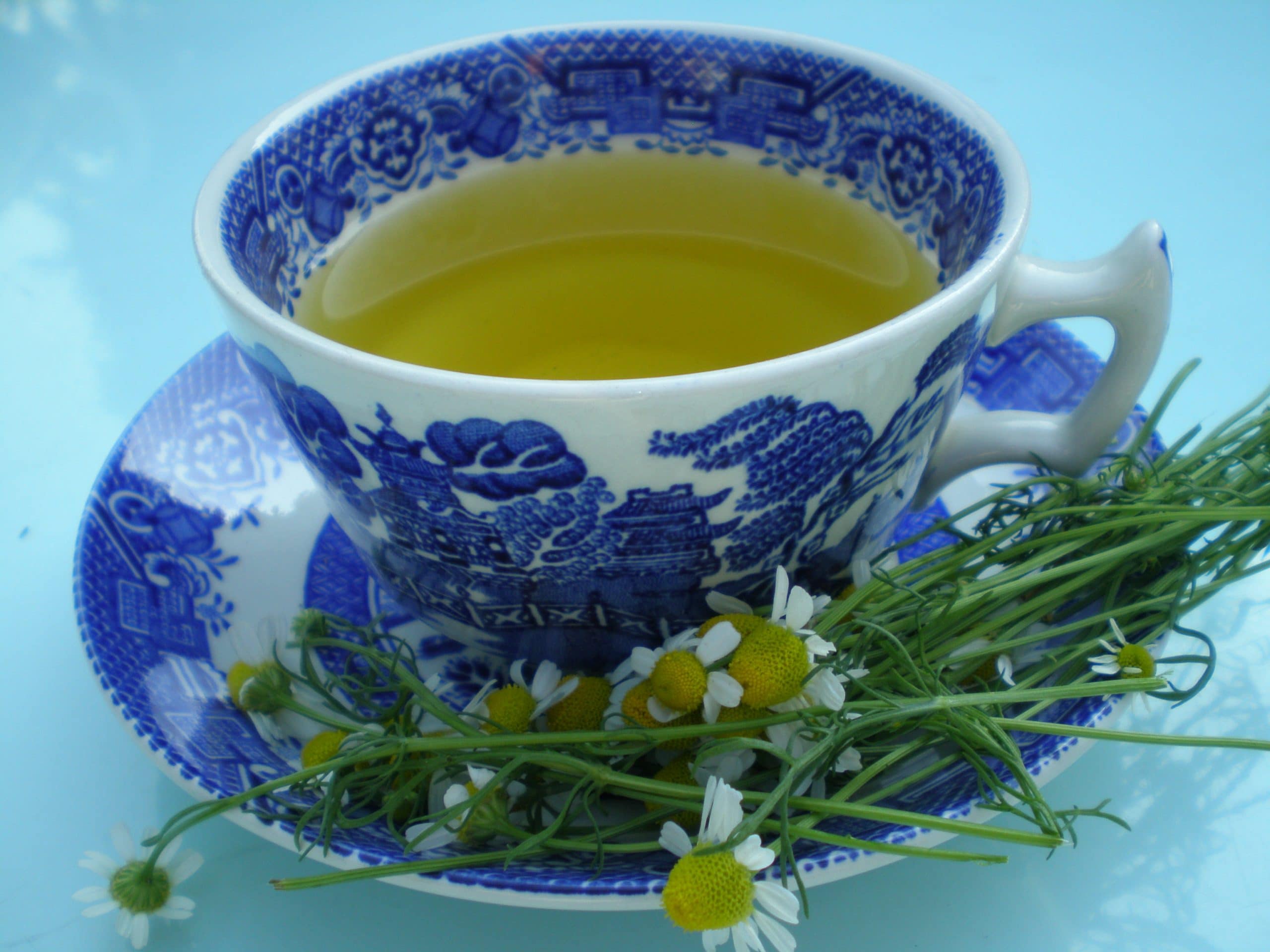 chamomomile tea