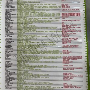 Companion Planting