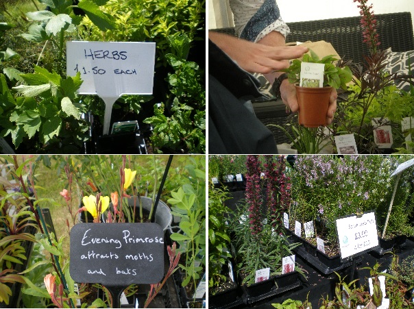 herb growers