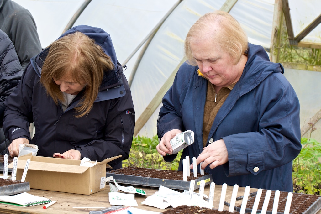 propagating herbs from seed