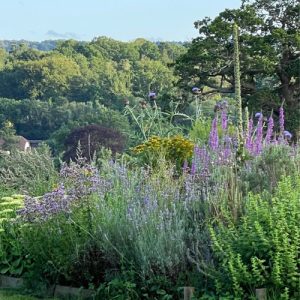 September Herb Walk