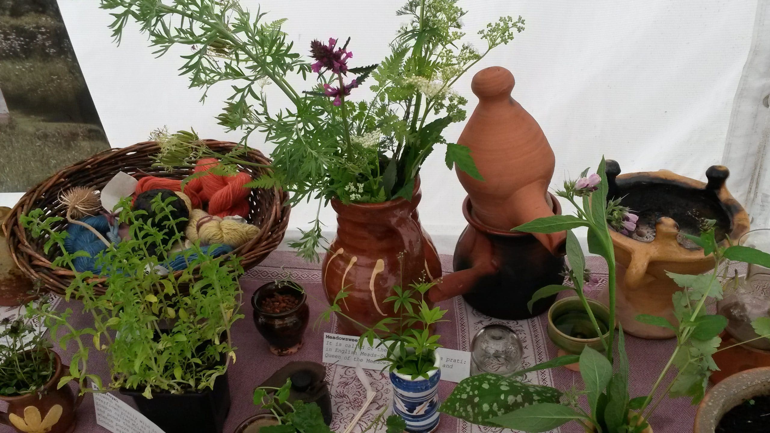 herbal folklore
