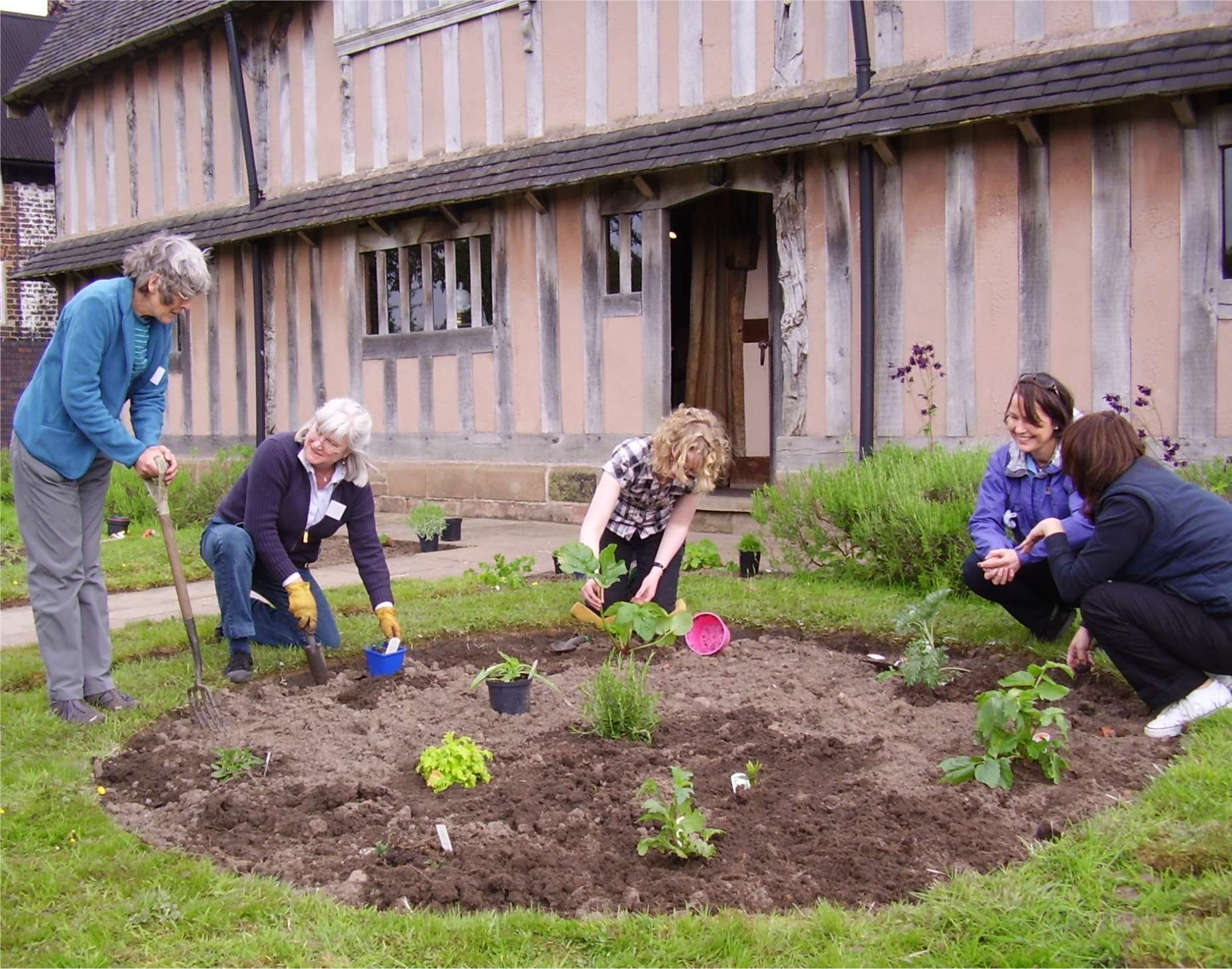 Planting herbs blackden
