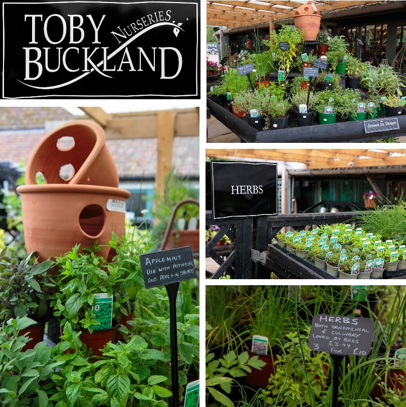 toby nursery