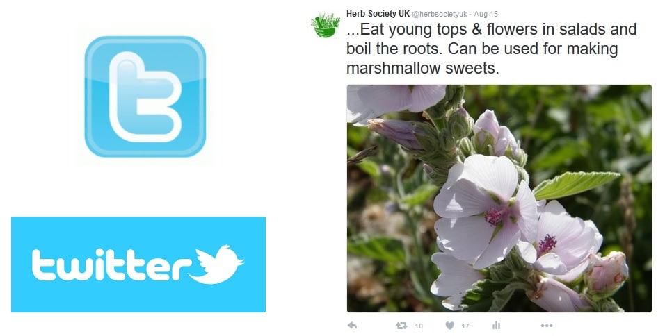 twitter herb society pic