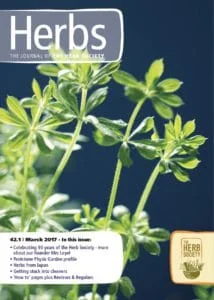A close-up of cleavers.