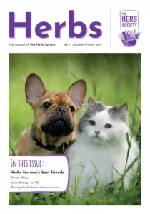 A dog and cat in a field.