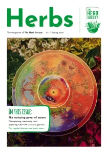 A round art piece highlighting the seasons.