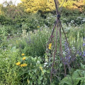 a herb garden.