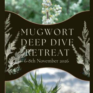 mugworth plants.