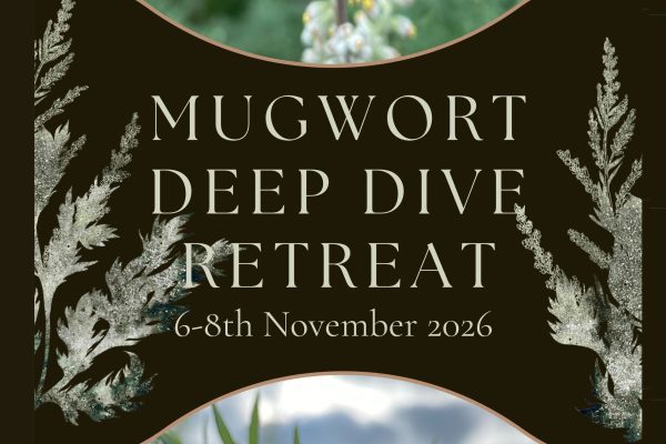 mugworth plants.