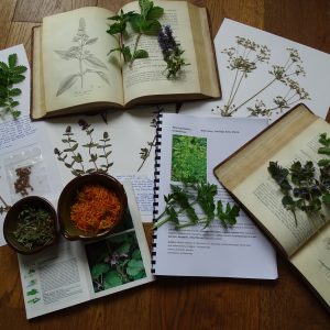 Herbal books, notebooks and dried plants.