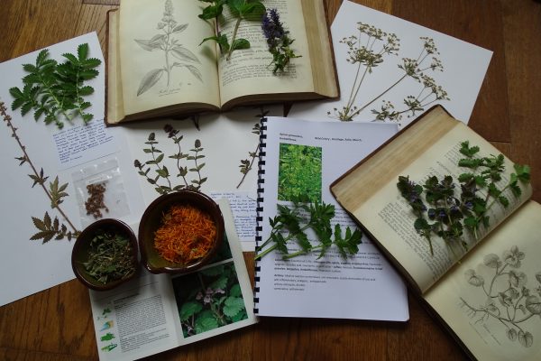 Herbal books, notebooks and dried plants.