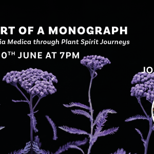 images of yarrow.