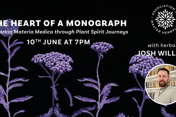 images of yarrow.