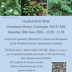Guided Herb Walk