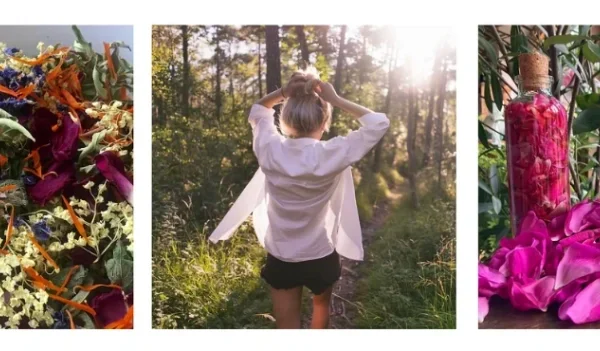 3 images. a bowl of herbs, a woman walking in the woods and rose water.