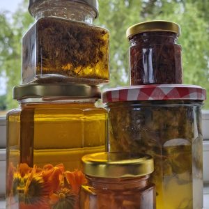 Homemade Apothecary II. Infused Oils