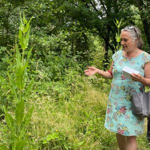 August Herb Walk