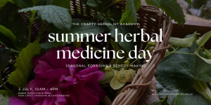 Summer Herbal Medicine Day