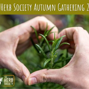 The Herb Society Autumn Gathering 2026 - Midlands Arts Centre, Birmingham