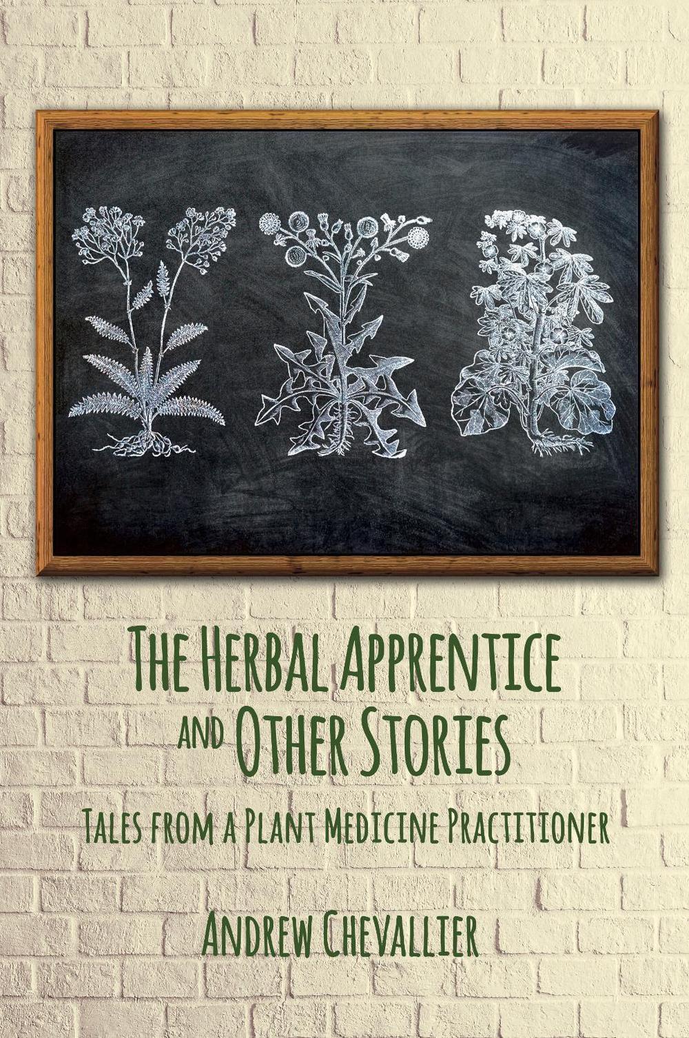 Herbs drawn on blackboard against brick wall. Writing below "The Herbal Apprentice and Other Stories"