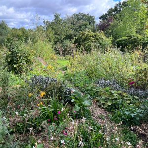 The Green Witch’s Garden with Herbalist, Rowan McOnegal